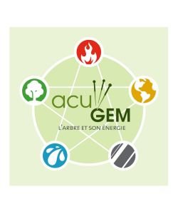 Méridien 06 - Énergie de l'intestin grêle - ACUGEM gemmothérapie BIO, 15 ml